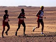 Sahara marathon